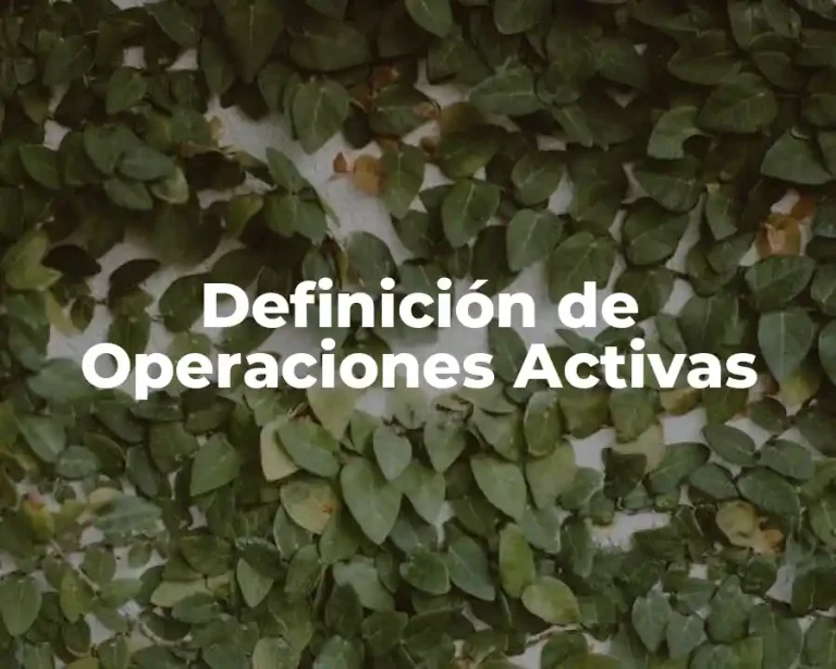 Definición de Operaciones Activas
