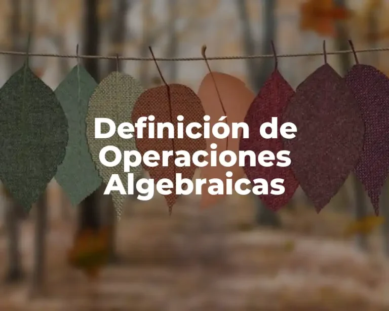 Definición de Operaciones Algebraicas