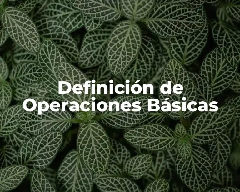 Definición de Operaciones Básicas