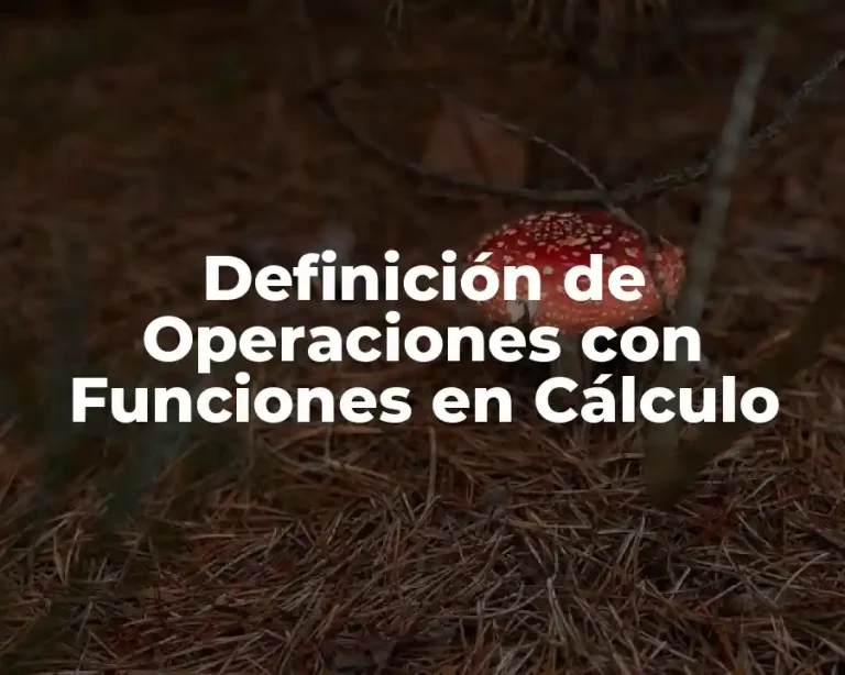 Definición de Operaciones con Funciones en Cálculo