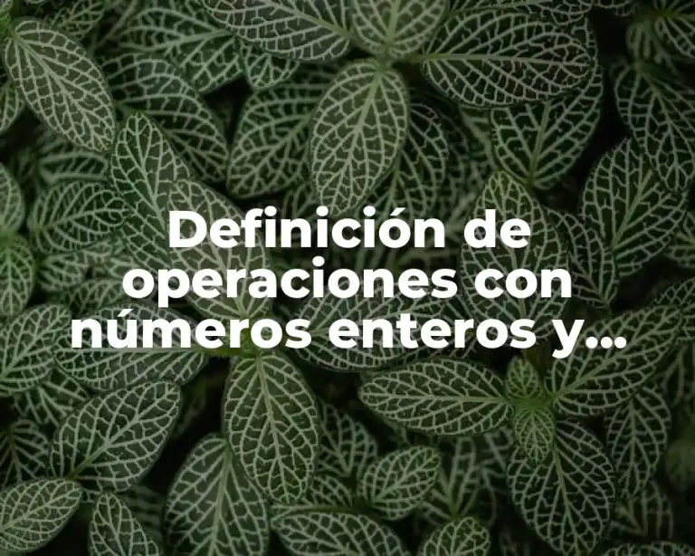 Definición de operaciones con números enteros y fracciones