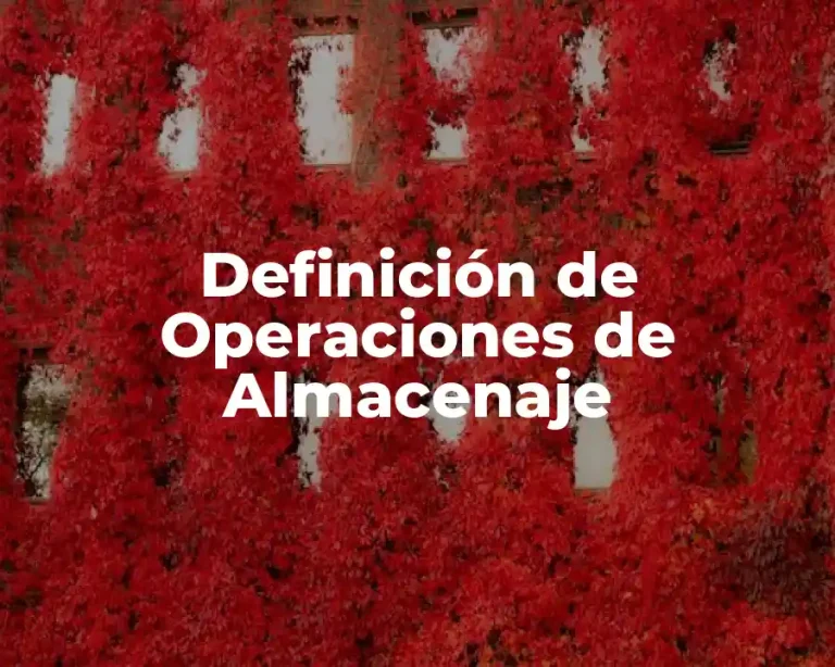 Definición de Operaciones de Almacenaje