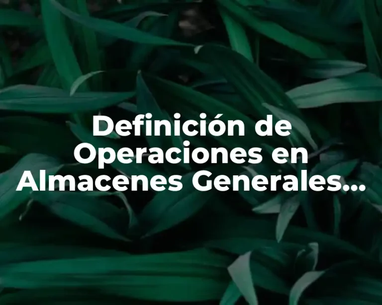 Definición de Operaciones en Almacenes Generales de Depósito Gestopolis