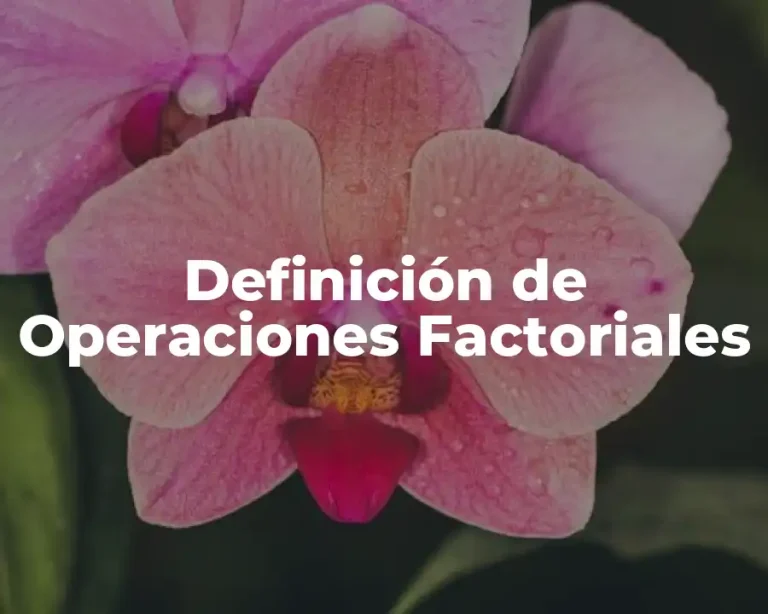Definición de Operaciones Factoriales
