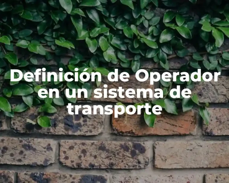 Definición de Operador en un sistema de transporte
