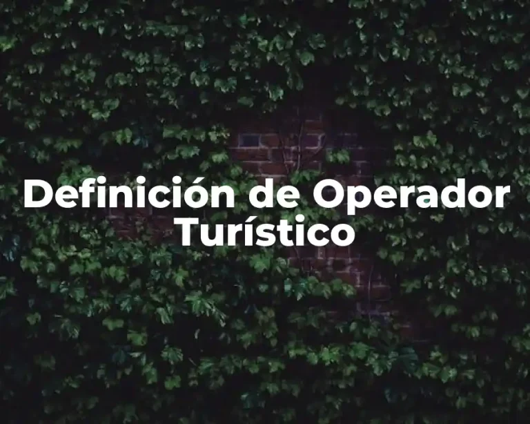 Definición de Operador Turístico