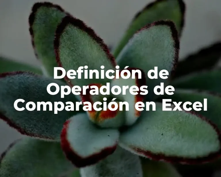 Definición de Operadores de Comparación en Excel