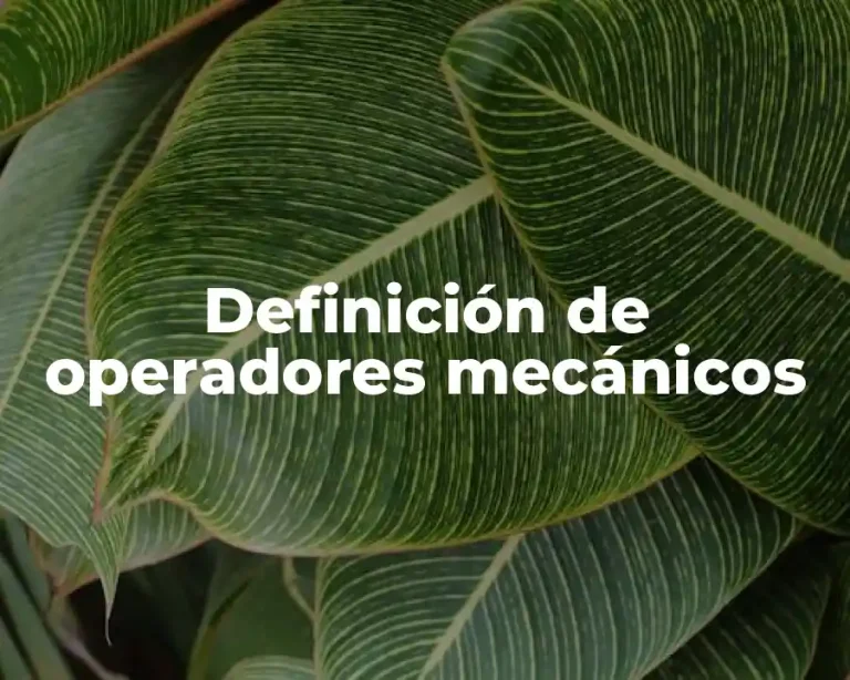 Definición de operadores mecánicos
