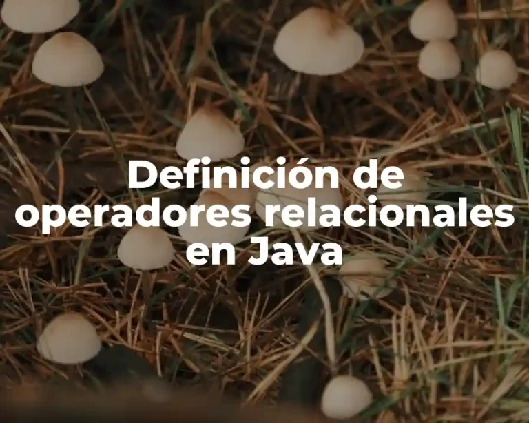 Definición de operadores relacionales en Java
