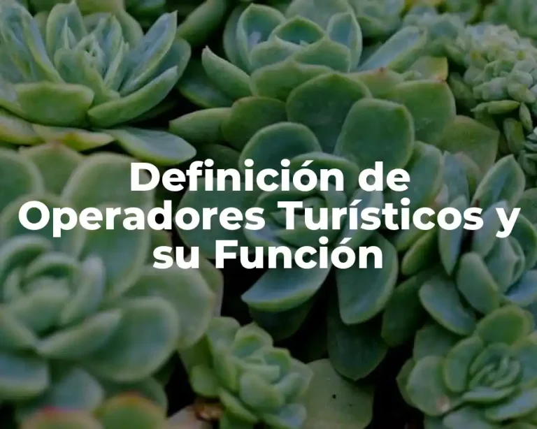 Definición de Operadores Turísticos y su Función