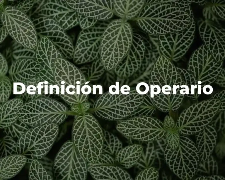 Definición de Operario