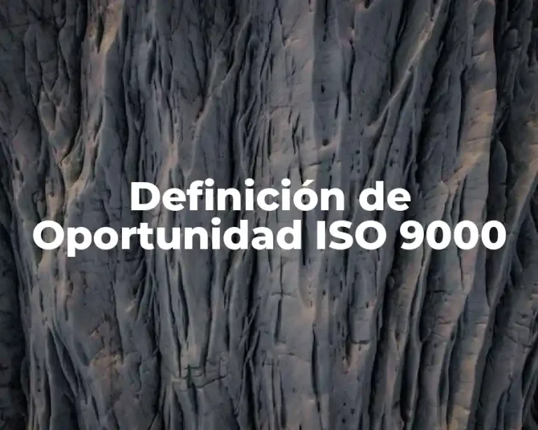 Definición de Oportunidad ISO 9000