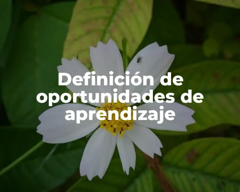 Definición de oportunidades de aprendizaje