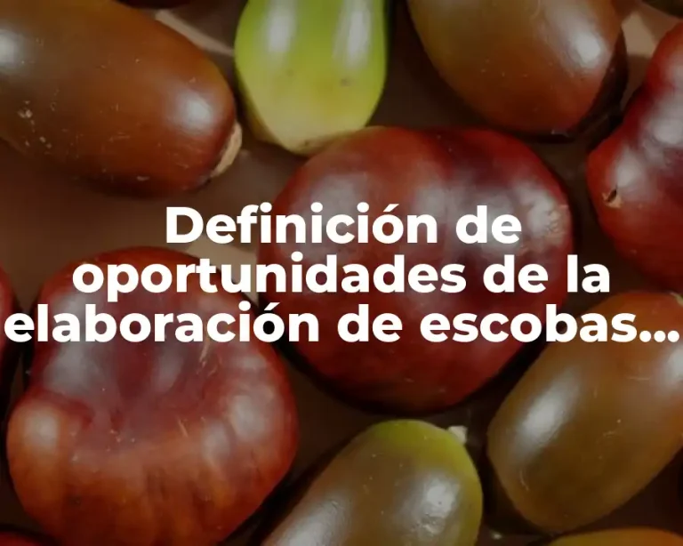 Definición de oportunidades de la elaboración de escobas de reciclaje