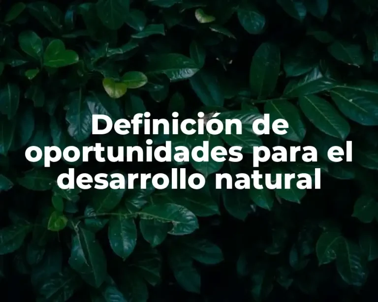 Definición de oportunidades para el desarrollo natural