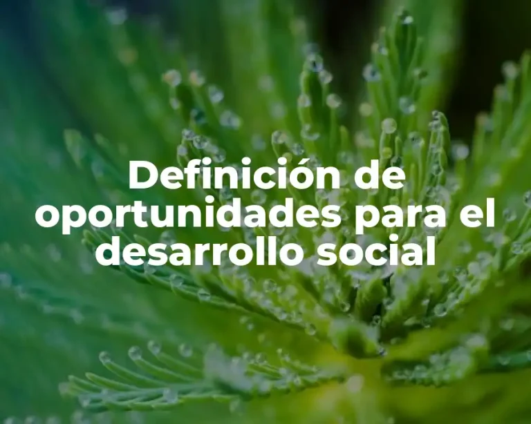 Definición de oportunidades para el desarrollo social