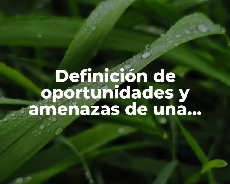 Definición de oportunidades y amenazas de una empresa