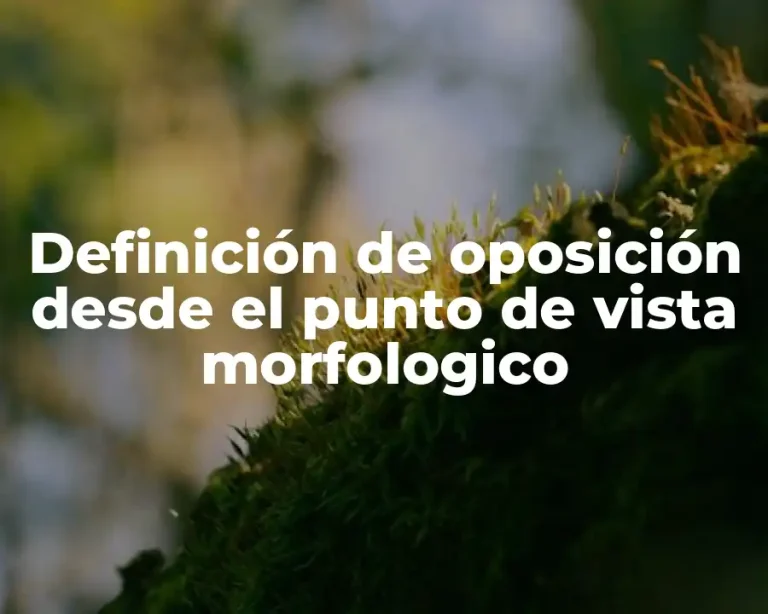 Definición de oposición desde el punto de vista morfologico