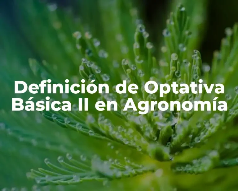 Definición de Optativa Básica II en Agronomía