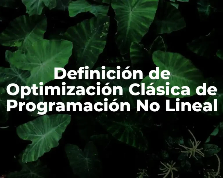 Definición de Optimización Clásica de Programación No Lineal
