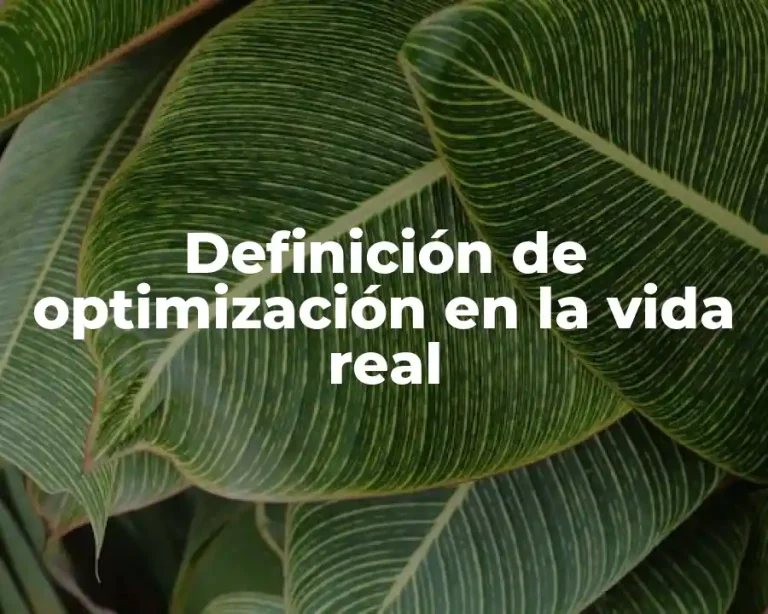 Definición de optimización en la vida real