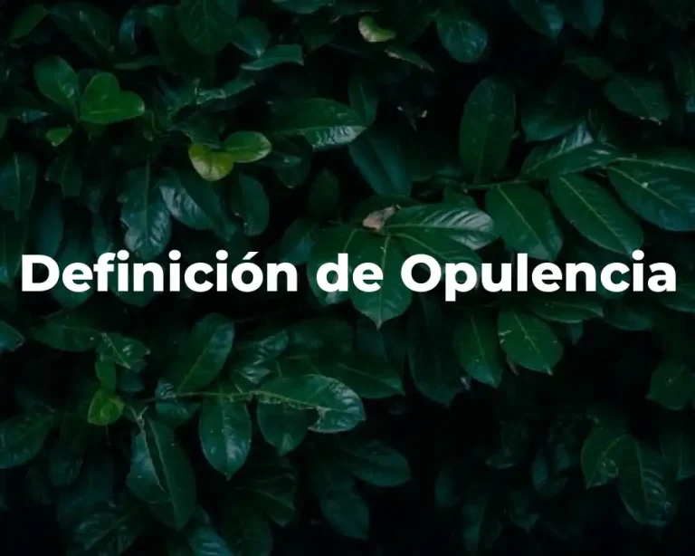 Definición de Opulencia