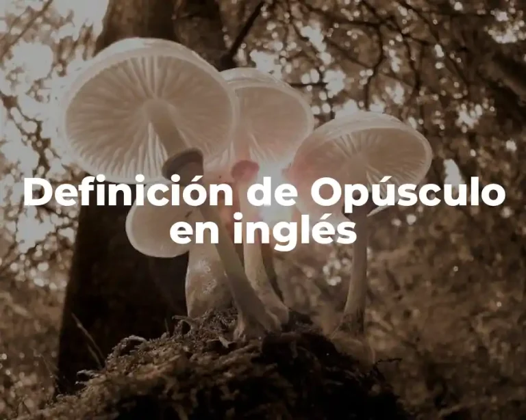 Definición de Opúsculo en inglés