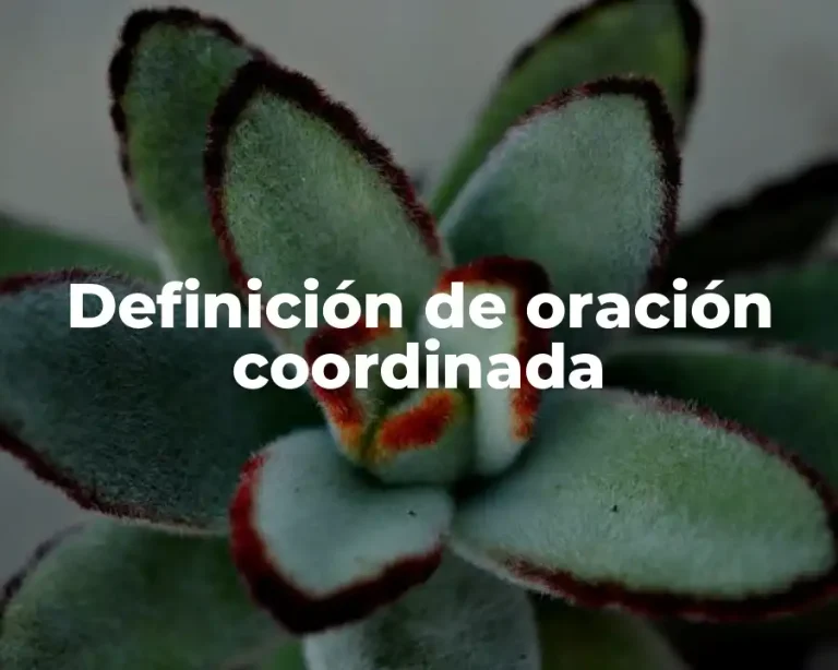 Definición de oración coordinada