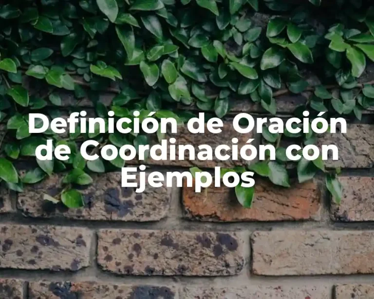 Definición de Oración de Coordinación con Ejemplos