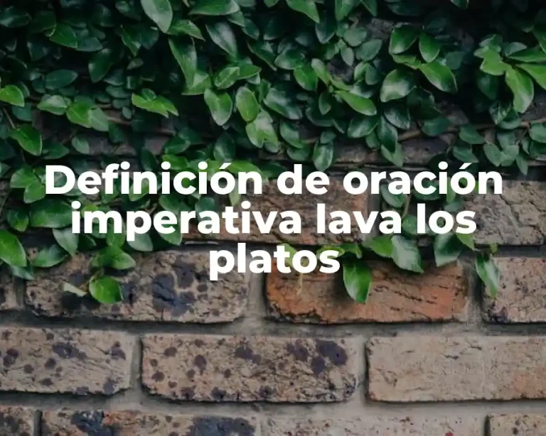 Definición de oración imperativa lava los platos