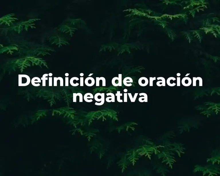 Definición de oración negativa