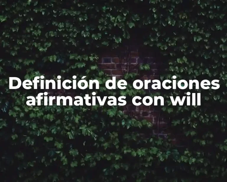 Definición de oraciones afirmativas con will