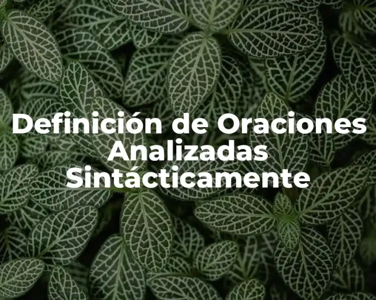 Definición de Oraciones Analizadas Sintácticamente