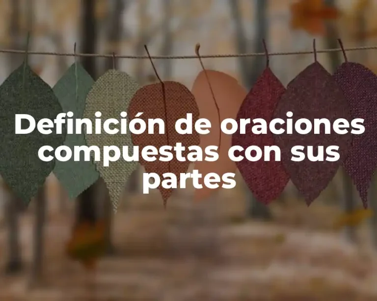 Definición de oraciones compuestas con sus partes
