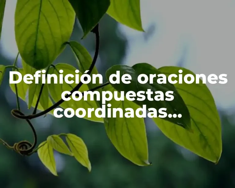 Definición de oraciones compuestas coordinadas copulativas