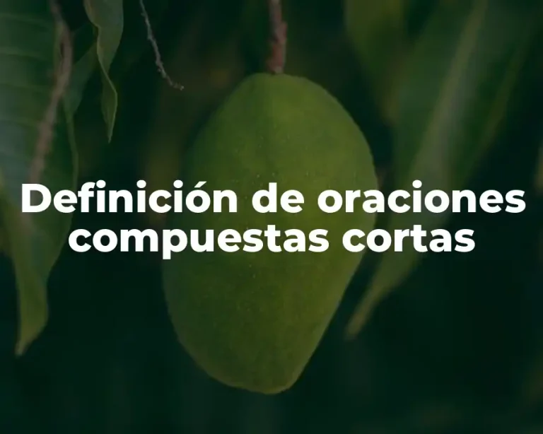 Definición de oraciones compuestas cortas