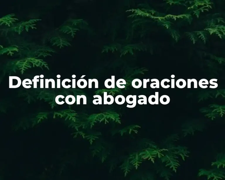 Definición de oraciones con abogado