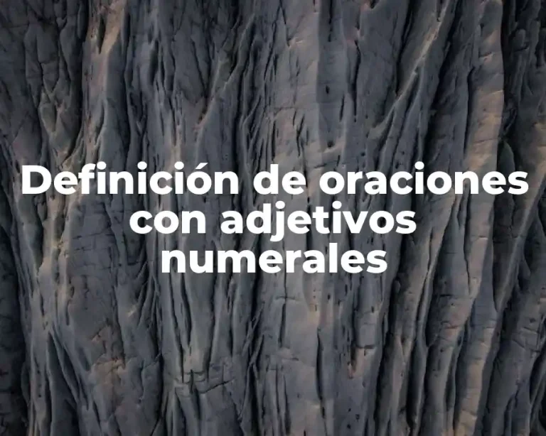 Definición de oraciones con adjetivos numerales