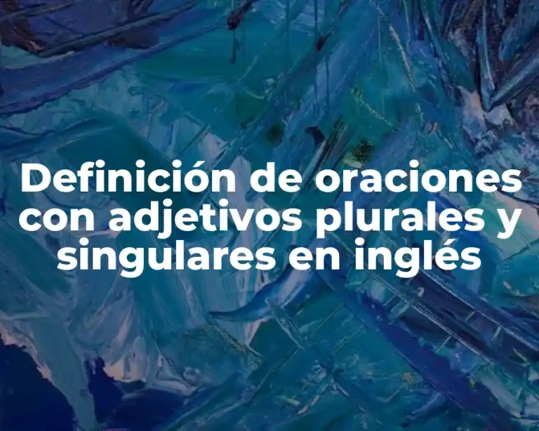 Definición de oraciones con adjetivos plurales y singulares en inglés