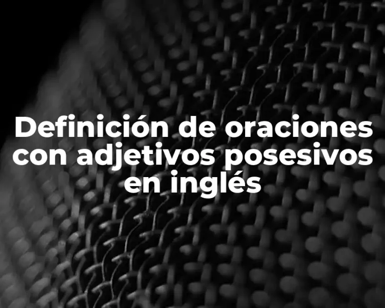 Definición de oraciones con adjetivos posesivos en inglés