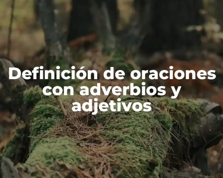 Definición de oraciones con adverbios y adjetivos