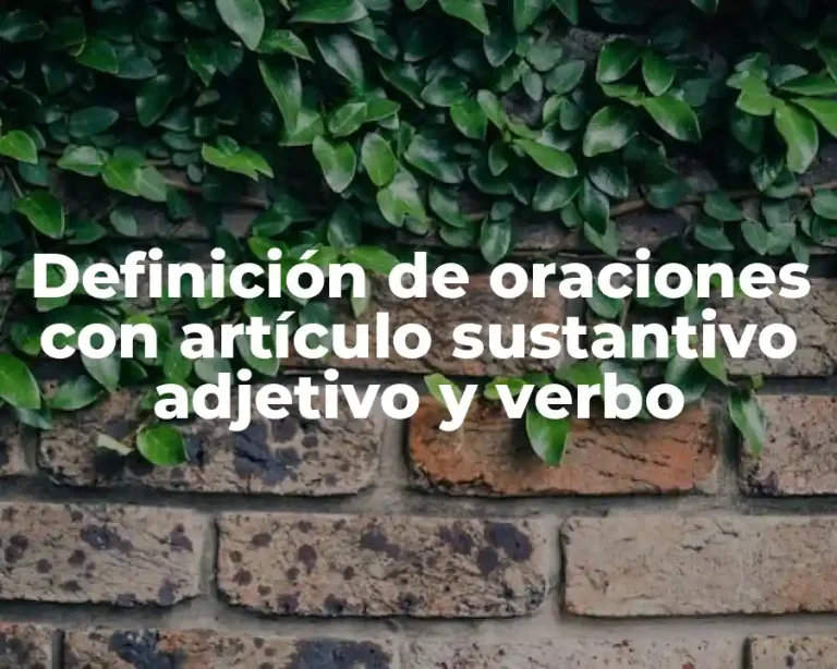 Definición de oraciones con artículo sustantivo adjetivo y verbo