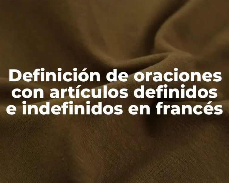 Definición de oraciones con artículos definidos e indefinidos en francés