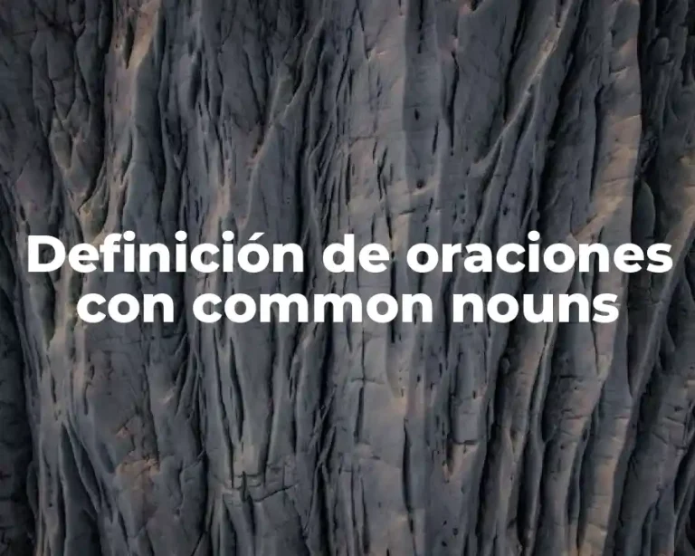 Definición de oraciones con common nouns