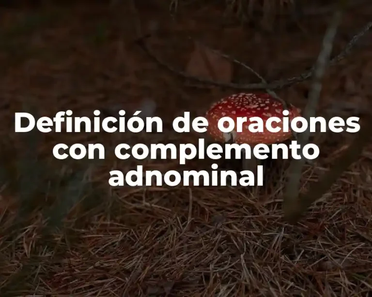 Definición de oraciones con complemento adnominal