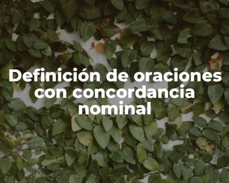 Definición de oraciones con concordancia nominal