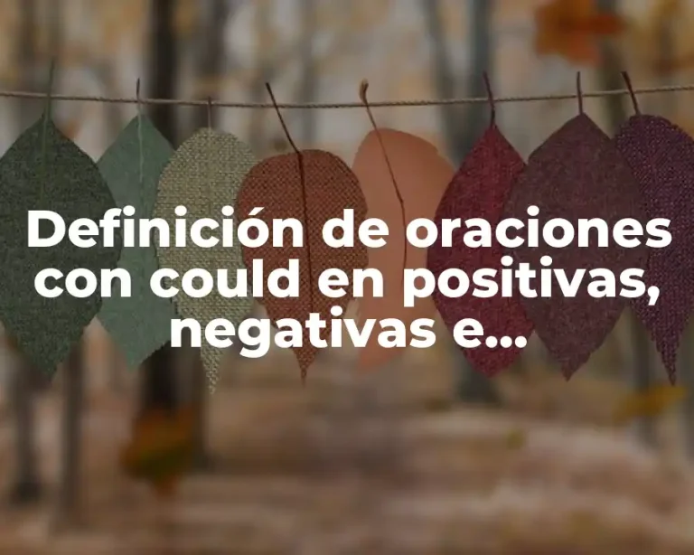 Definición de oraciones con could en positivas, negativas e interrogativas.