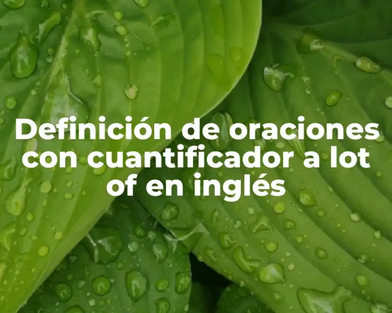Definición de oraciones con cuantificador a lot of en inglés