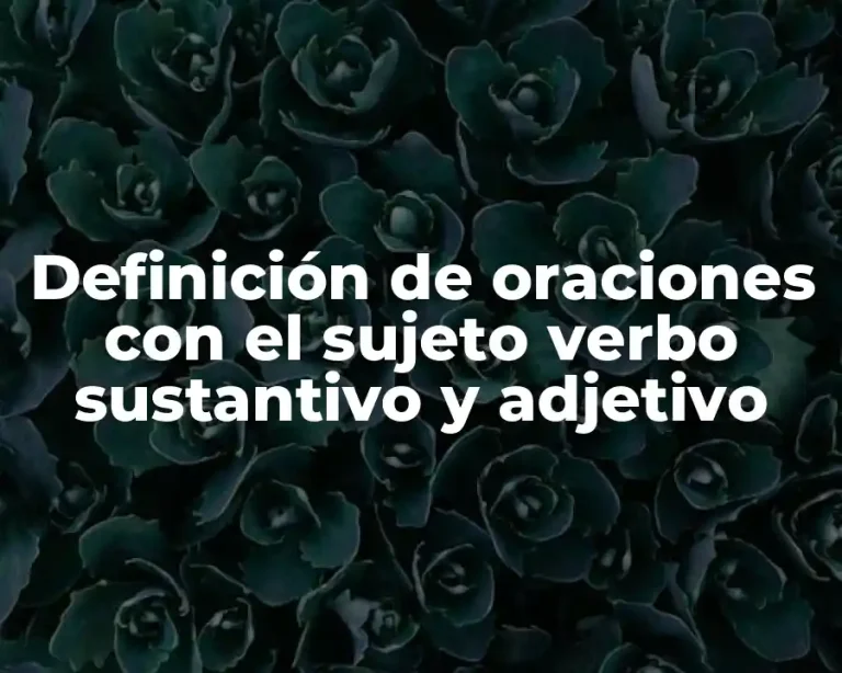 Definición de oraciones con el sujeto verbo sustantivo y adjetivo