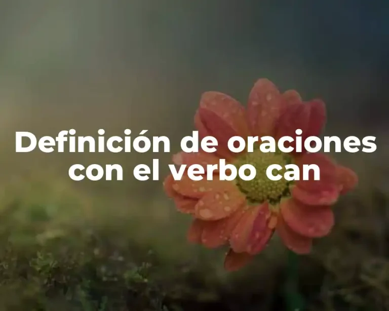 Definición de oraciones con el verbo can